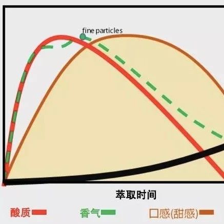 【手沖技巧】影響咖啡沖煮的關鍵因素：萃取時間