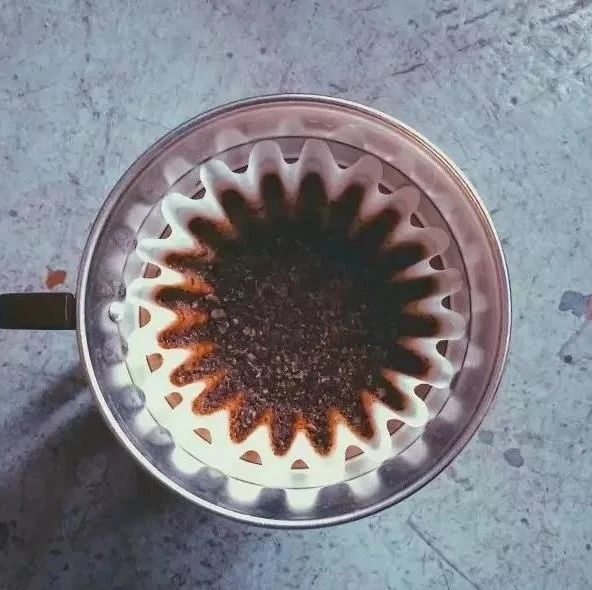 手沖咖啡濾杯 | Kalita Wave Dripper 蛋糕杯怎么用？