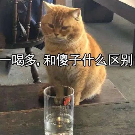 成年人白天的酒是什么？噢，原來是咖啡！