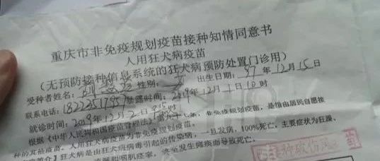 顧客進(jìn)貓咖店消費被咬，店家：告我們啊！