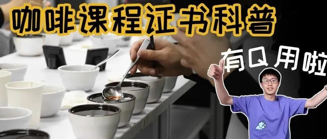 咖啡證書有用嗎？培訓(xùn)課程怎么選？一篇幫你看懂